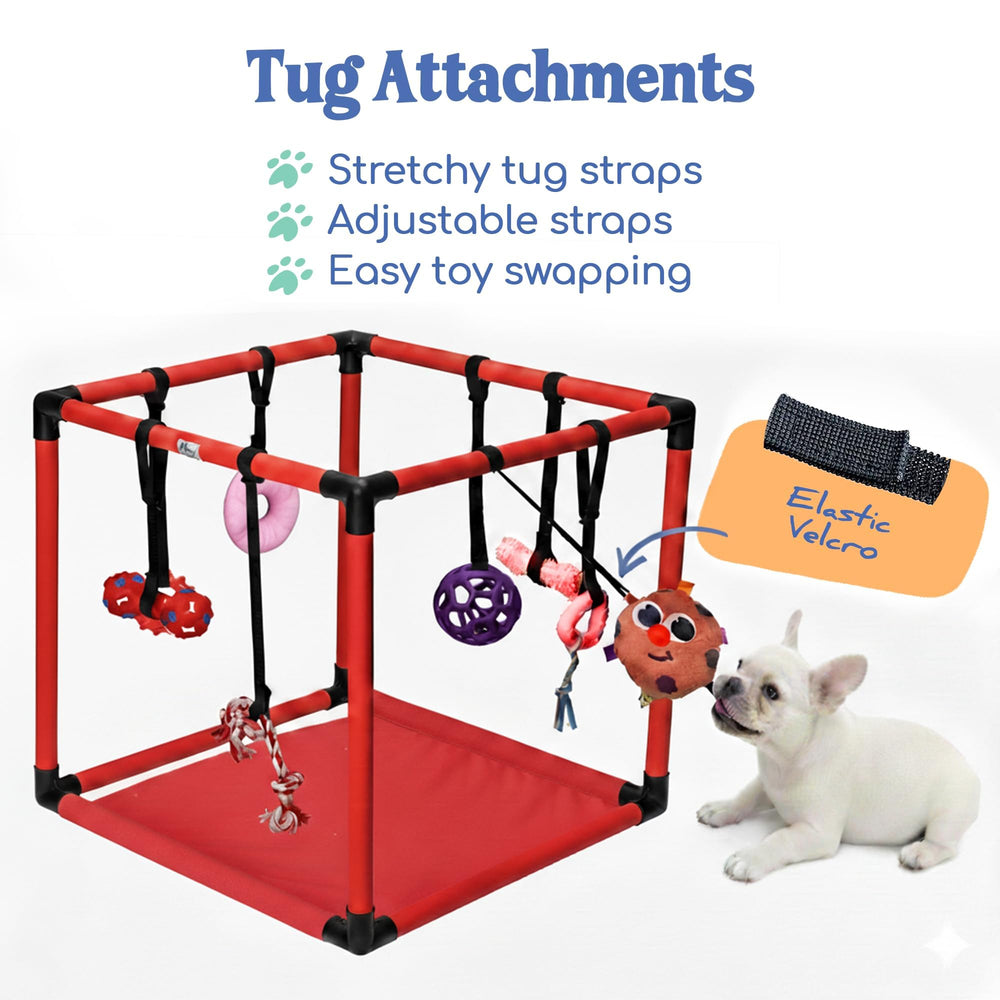 Race&Herd Puppy Play Gym, ocho juguetes interactivos para estimular olfato y resolución de problemas.