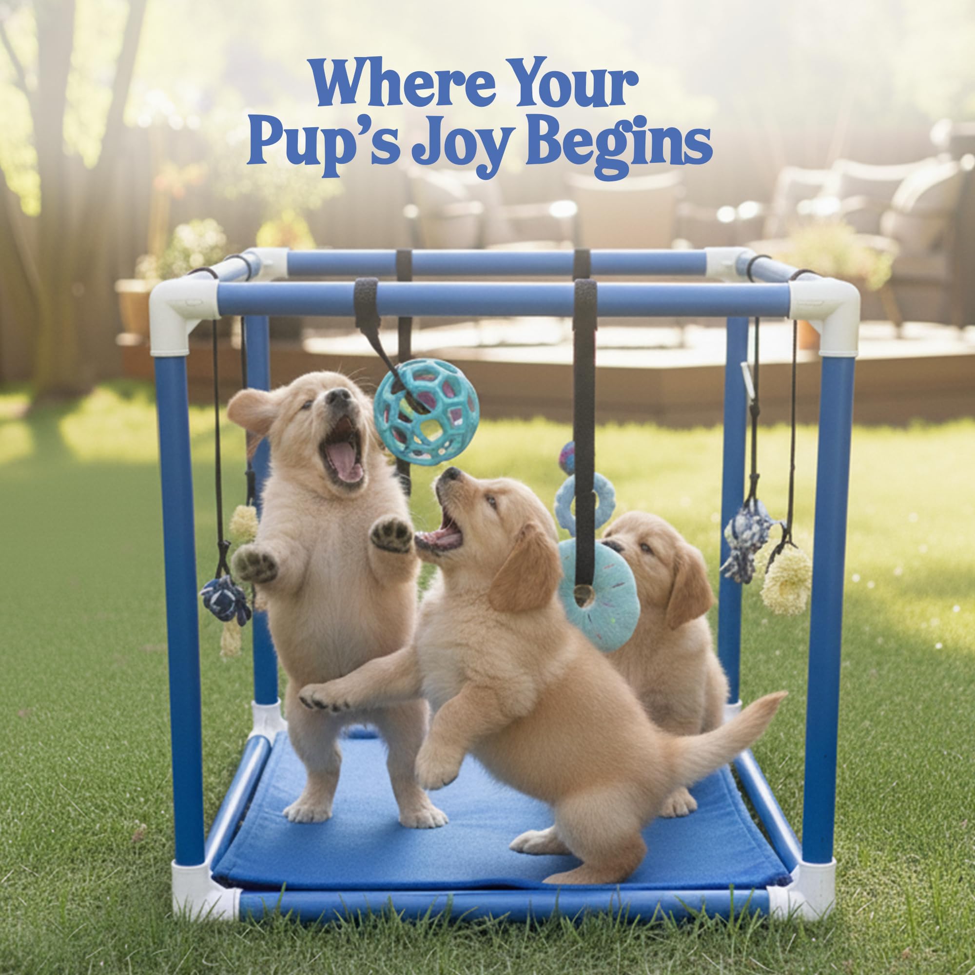 Race&Herd Puppy Play Gym: Espacio de juego interior ideal para apartamentos pequeños.