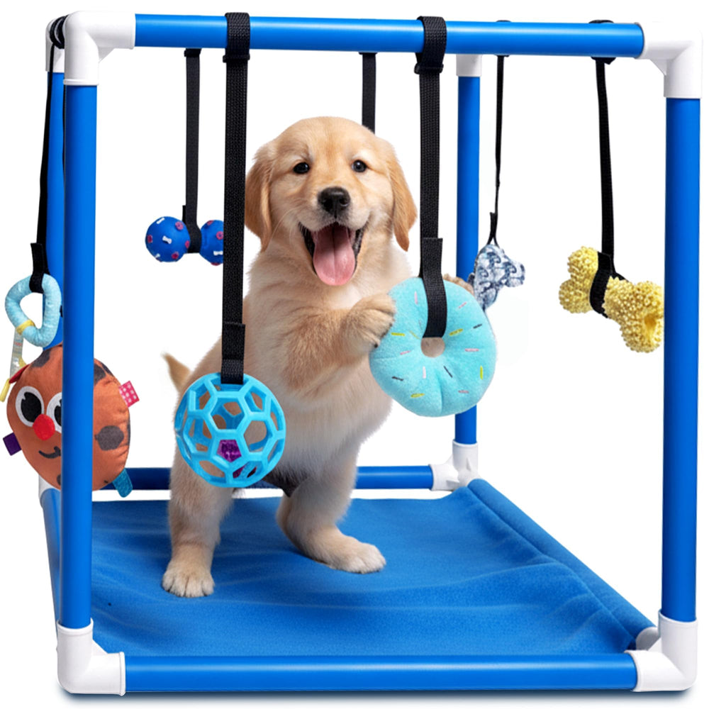 Race&Herd Puppy Play Gym: Estructura azul para juego activo en cachorros.