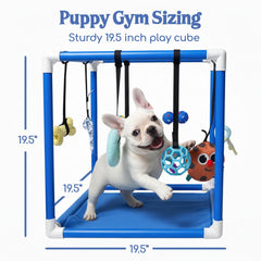 Race&Herd Puppy Play Gym: Juguetes interactivos que estimulan curiosidad y olfato del perro.