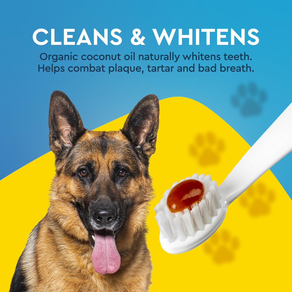 Radius kit dental para perros con aroma suave que agrada a la mascota.