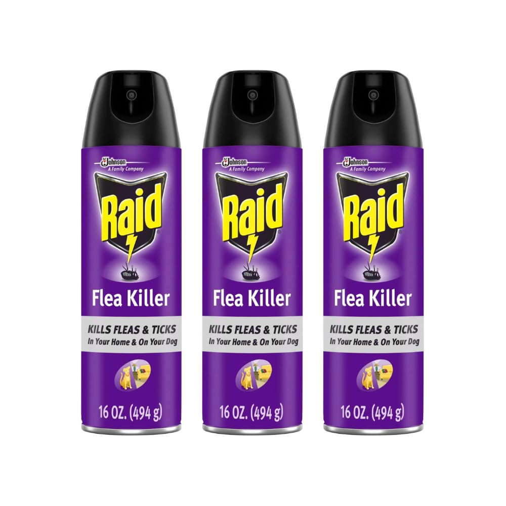 Raid Eliminador de Pulgas, botella de 16 onzas, ideal para uso interior en alfombras y tapizados.