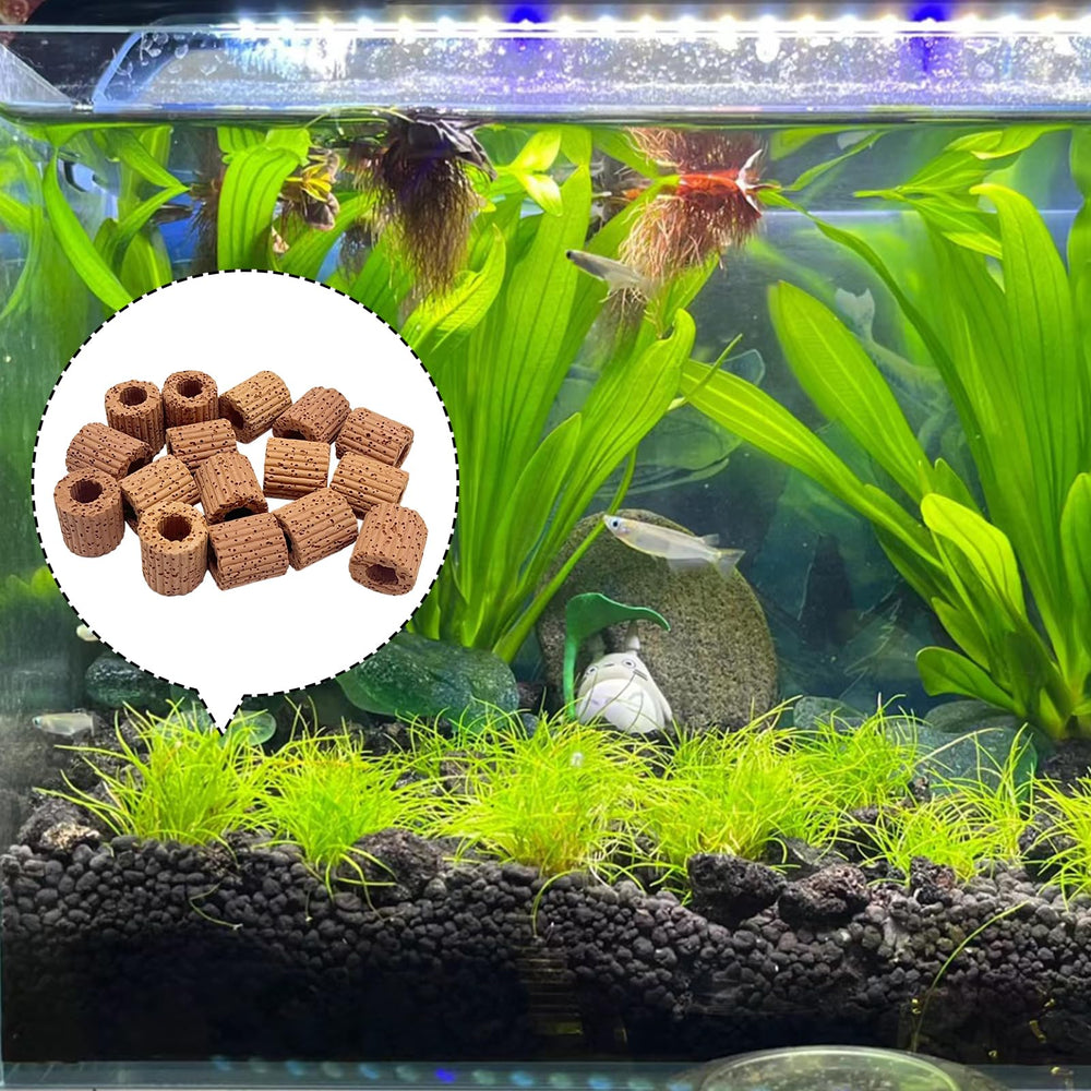 Rainmae anillo decorativo para acuario, cerámica resistente