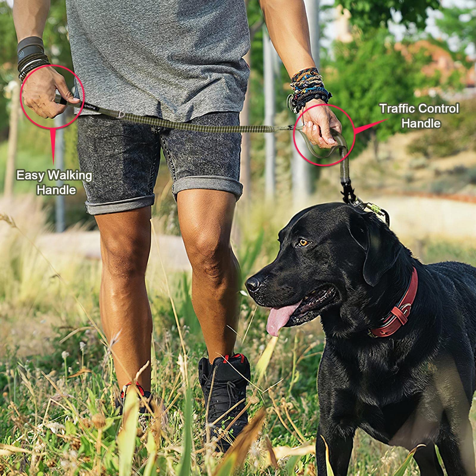 Raipult costuras en X reforzadas para perros grandes.