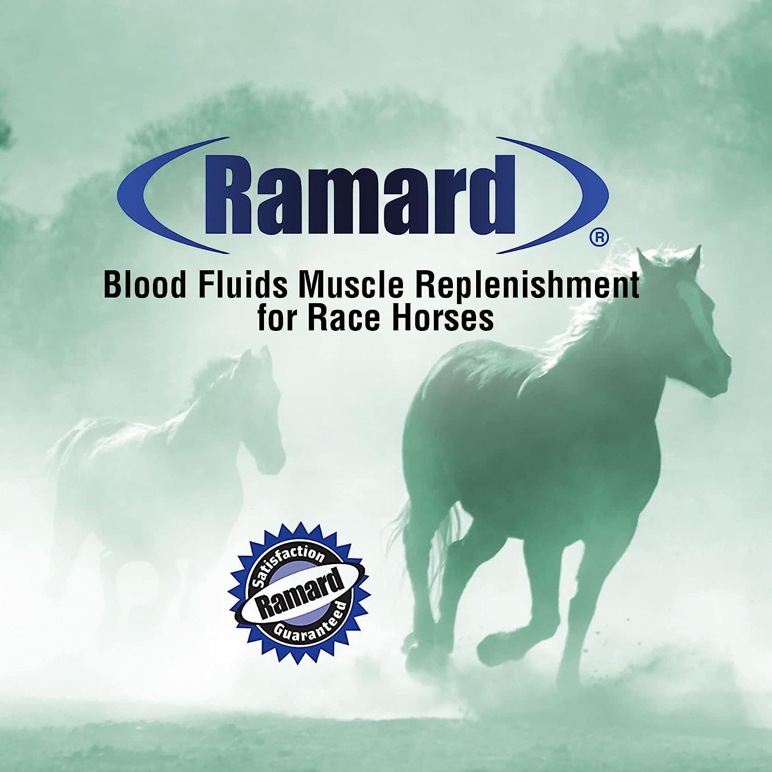 Calidad Ramard: producido en Estados Unidos para nutrición equina de alto rendimiento.