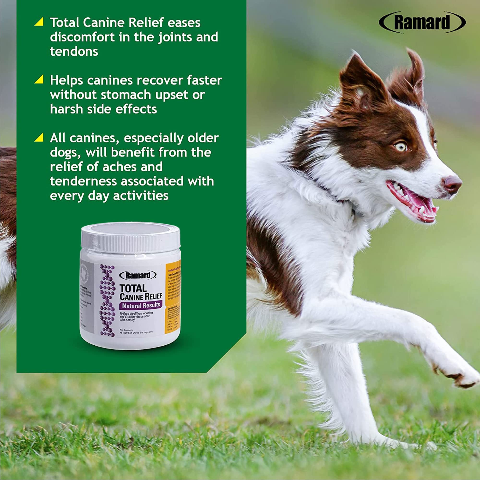 Ramard Total Canine Relief enfatiza movilidad del perro en actividad diaria.