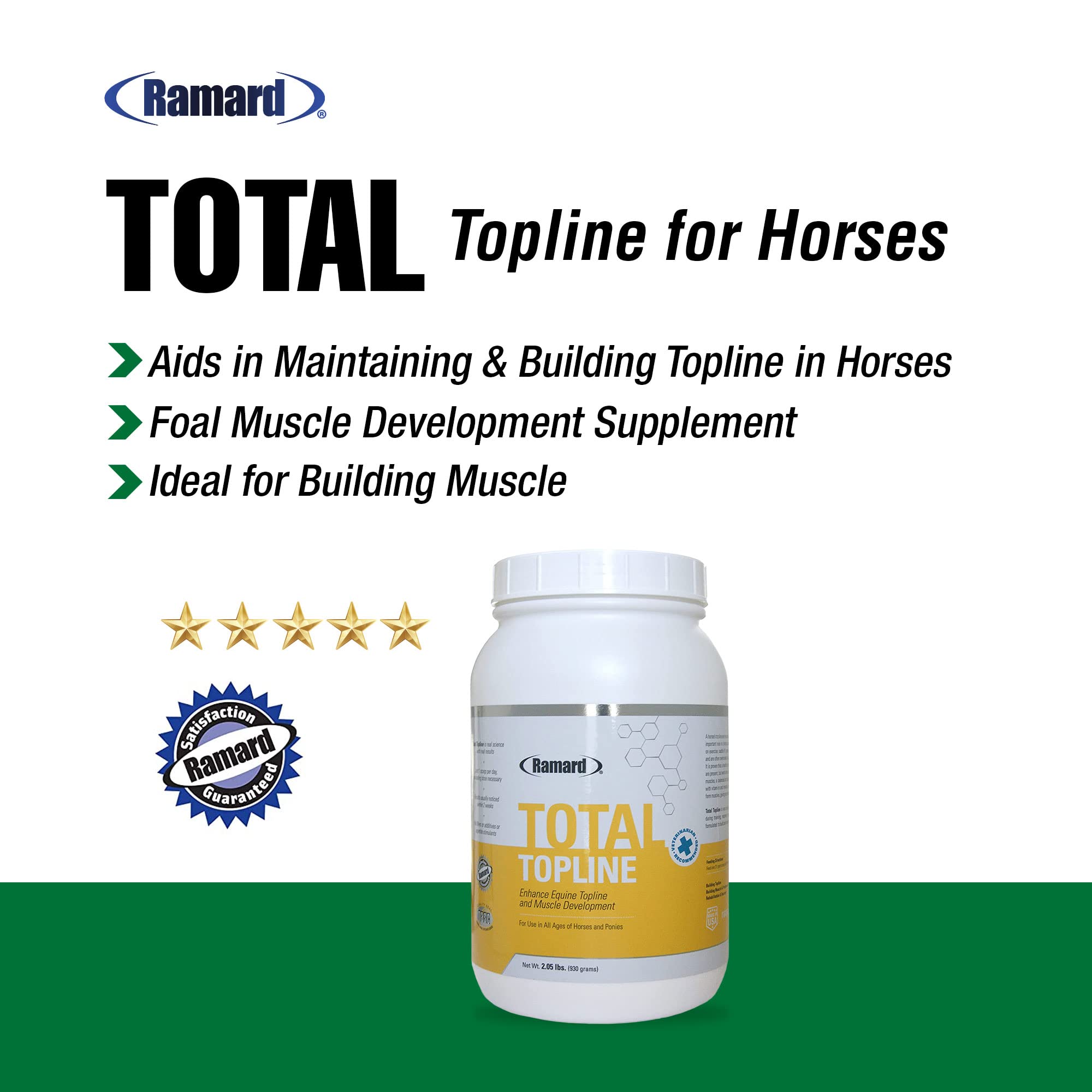 Caballo en movimiento con topline fortalecida gracias a Ramard Total Topline