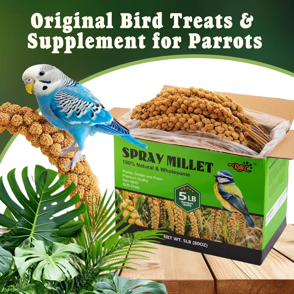 RANZ envase 5lb de mijo para aves pequeñas