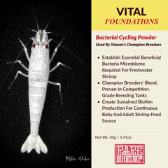 Rare Shrimp biofilm sostenible que alimenta a los camarones de forma natural