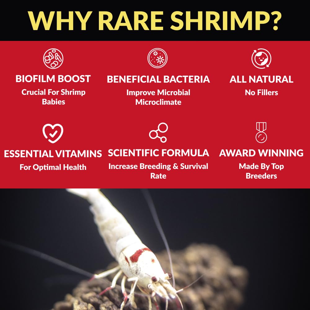 Rare Shrimp colonias-grandes, apto para grupos de 50+ camarones.