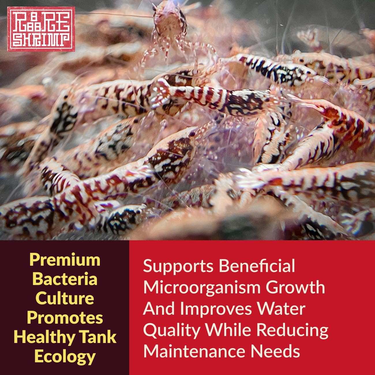 Rare Shrimp presentación de 5 bolsas lista para uso en acuarios