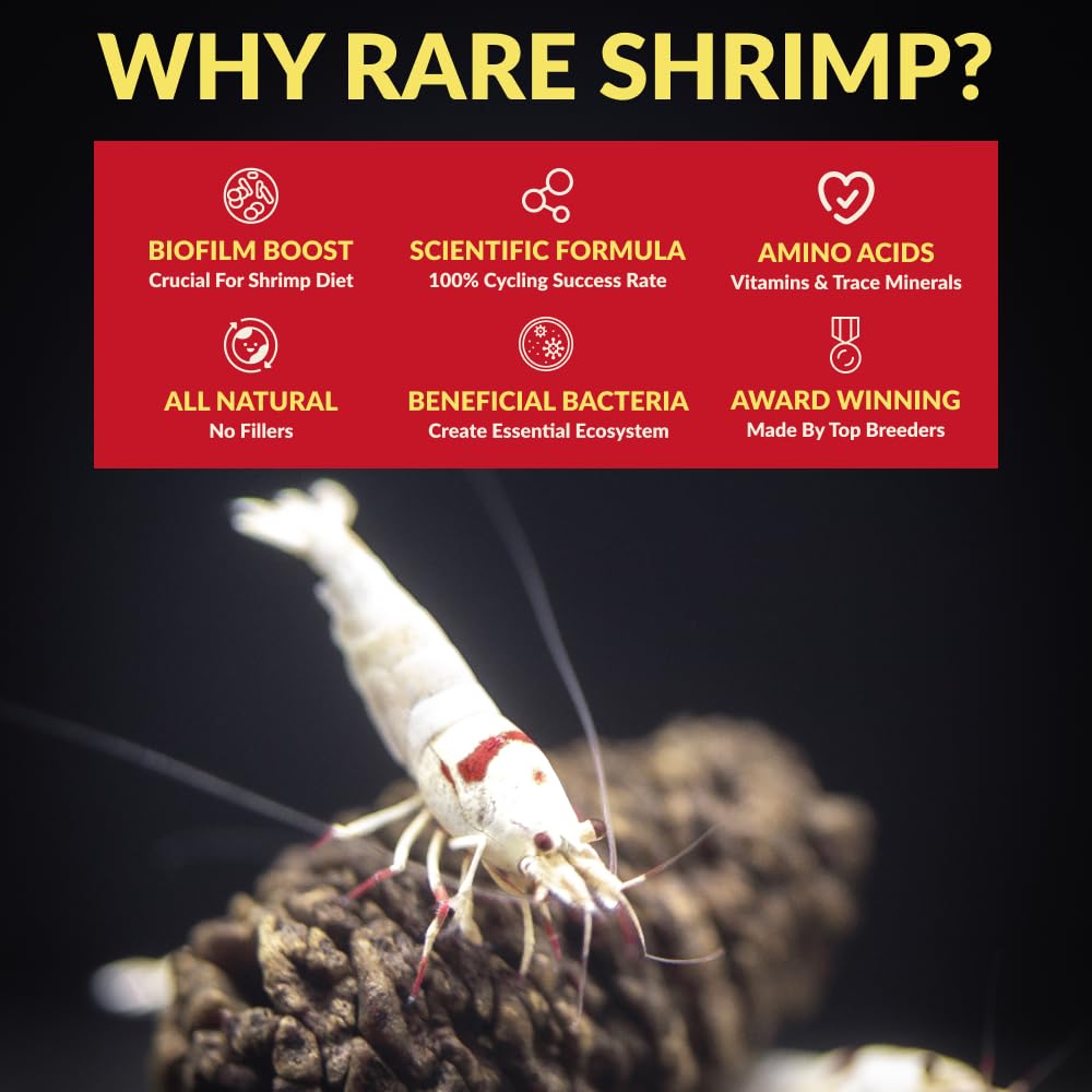 Rare Shrimp red de bacterias beneficiosas para la calidad del agua
