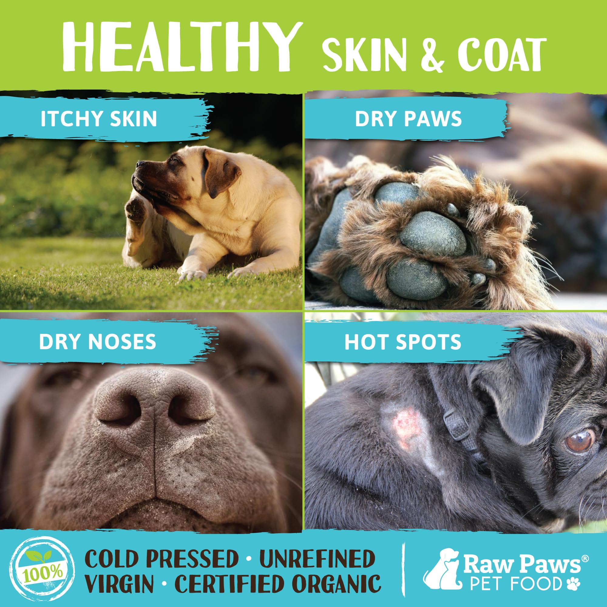 Raw Paws Aceite de coco orgánico en cuchara para dosis diarias y digestión