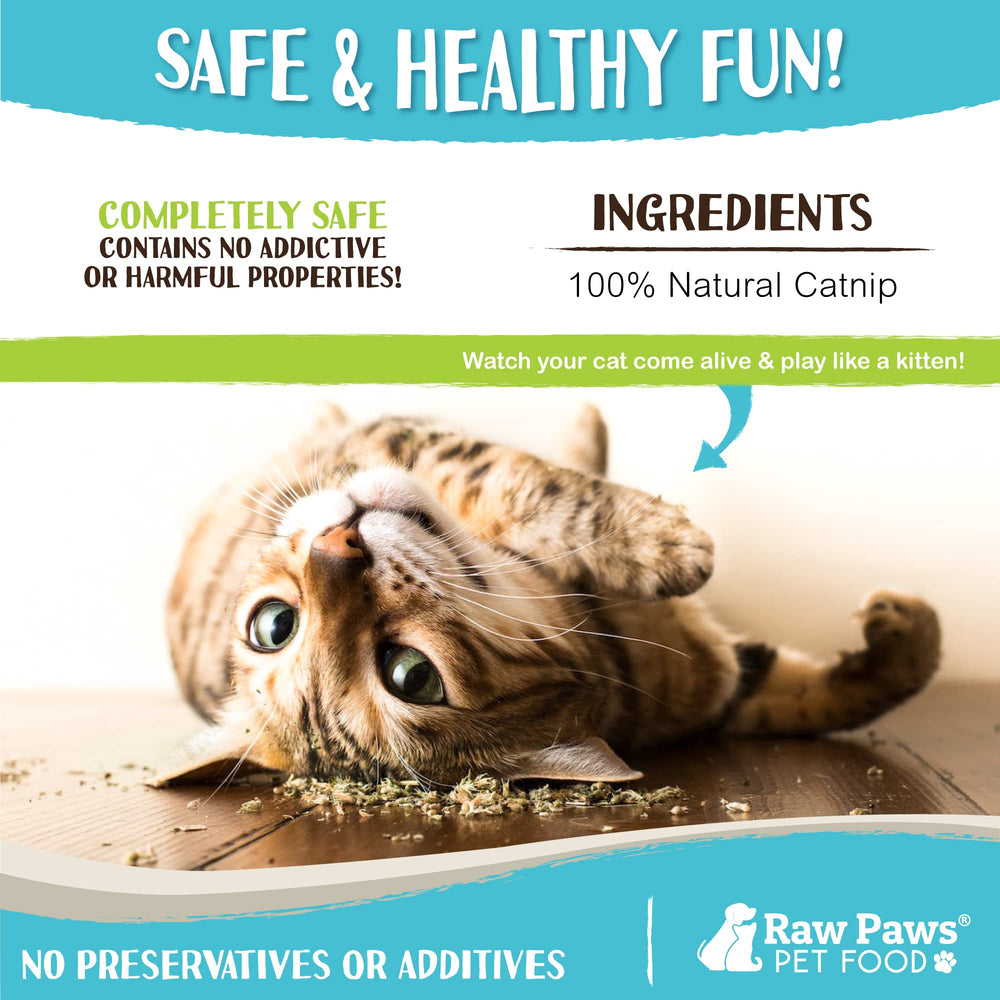 Raw Paws Catnip pour jouets chat réutilisables, pratique pour remplir les jouets.