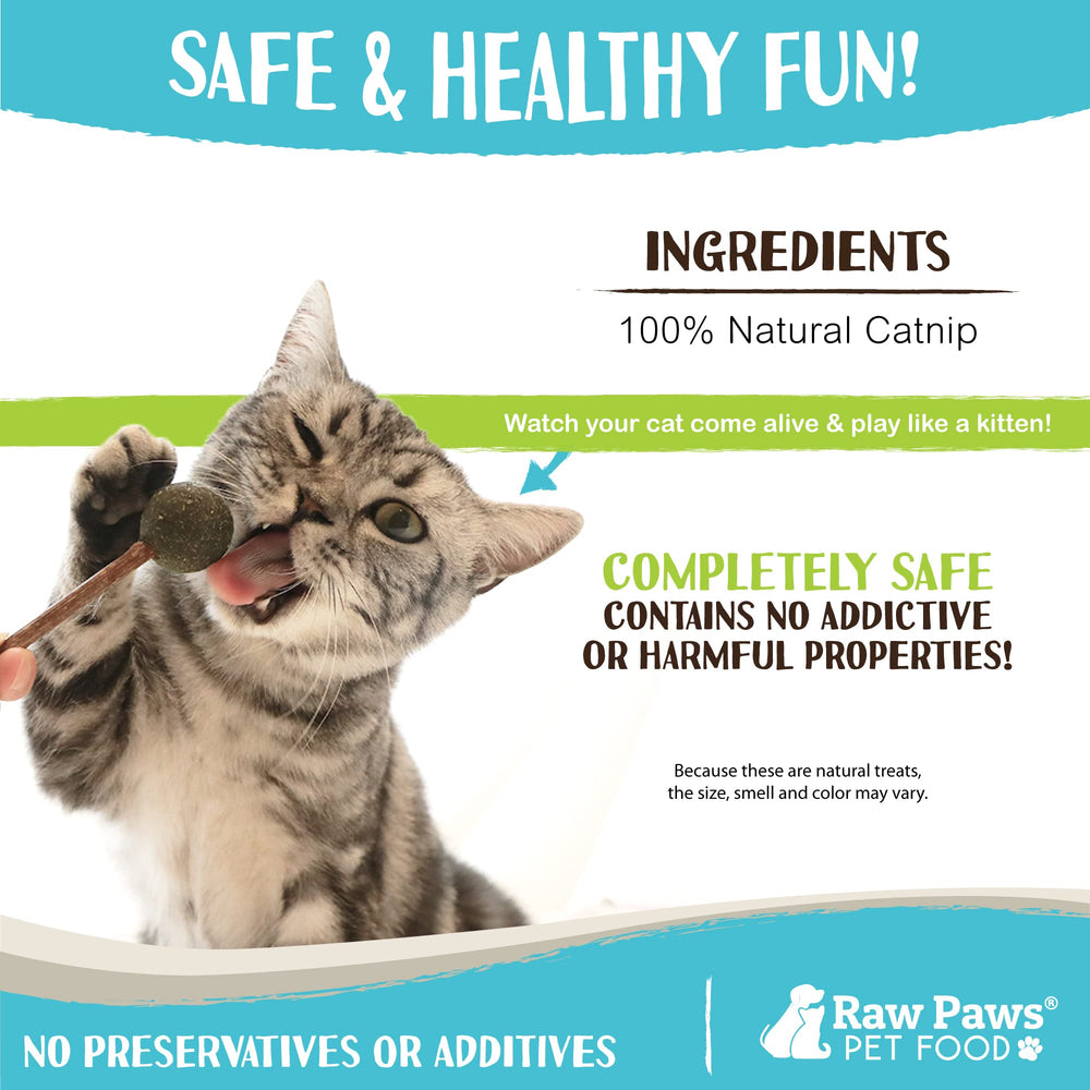 Raw Paws higiene dental para gatos con matatabi, apoyo al cuidado bucal al masticar.
