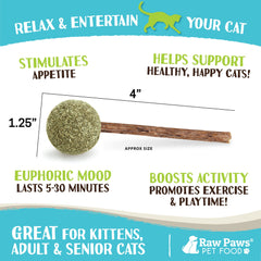 Juguete interactivo Raw Paws con aroma de menta para gatos, fomenta el juego.