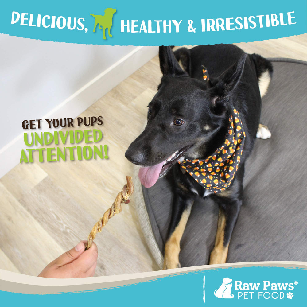 Raw Paws Lamb Pizzle Twists aptas para cachorros y perros seniors, masticación suave.