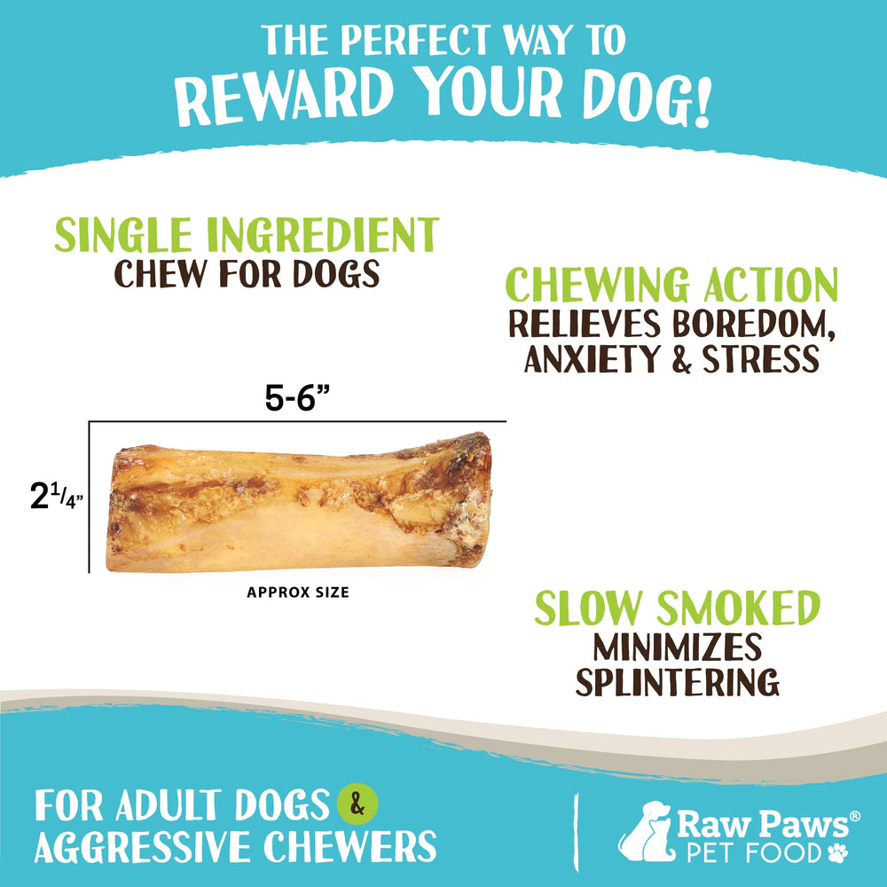 Raw Paws perro masticando hueso médula, escena en casa, ideal para entretener y concentrar