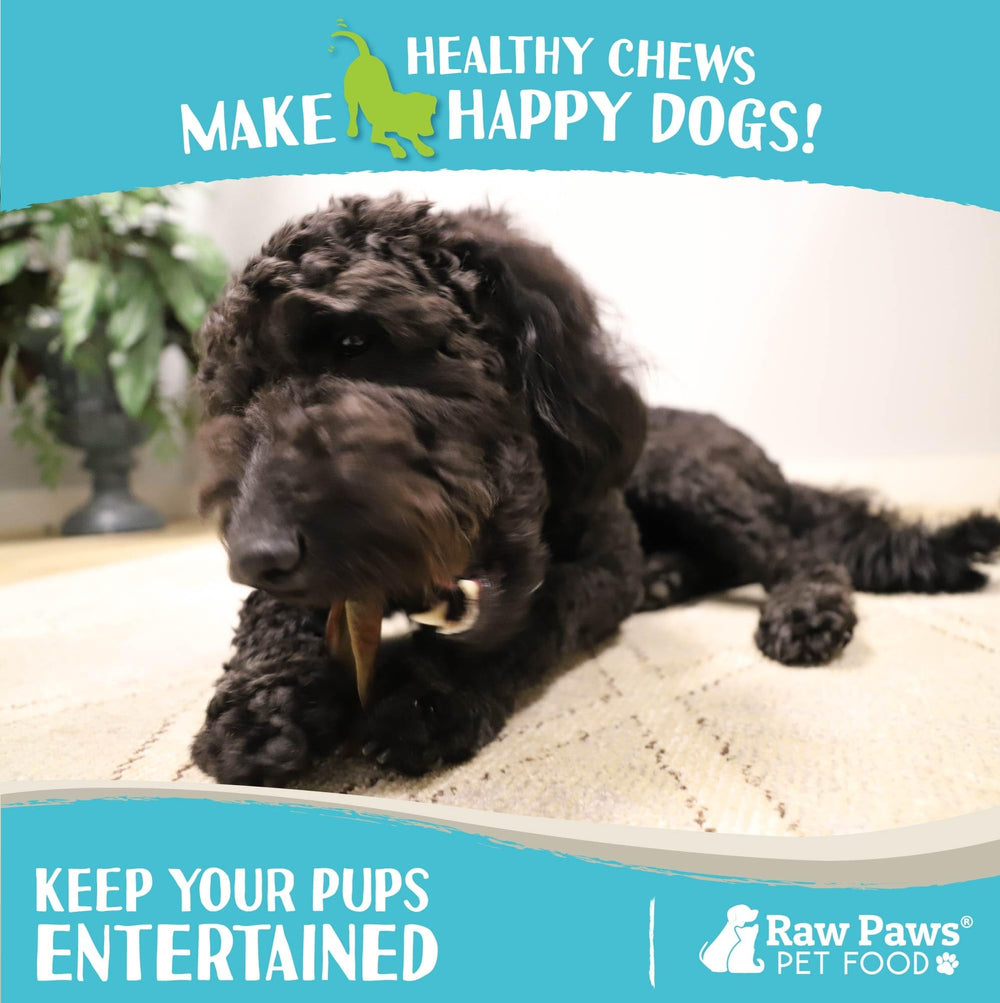 Raw Paws Camel Skin Chews, masticación duradera para horas de entretenimiento.