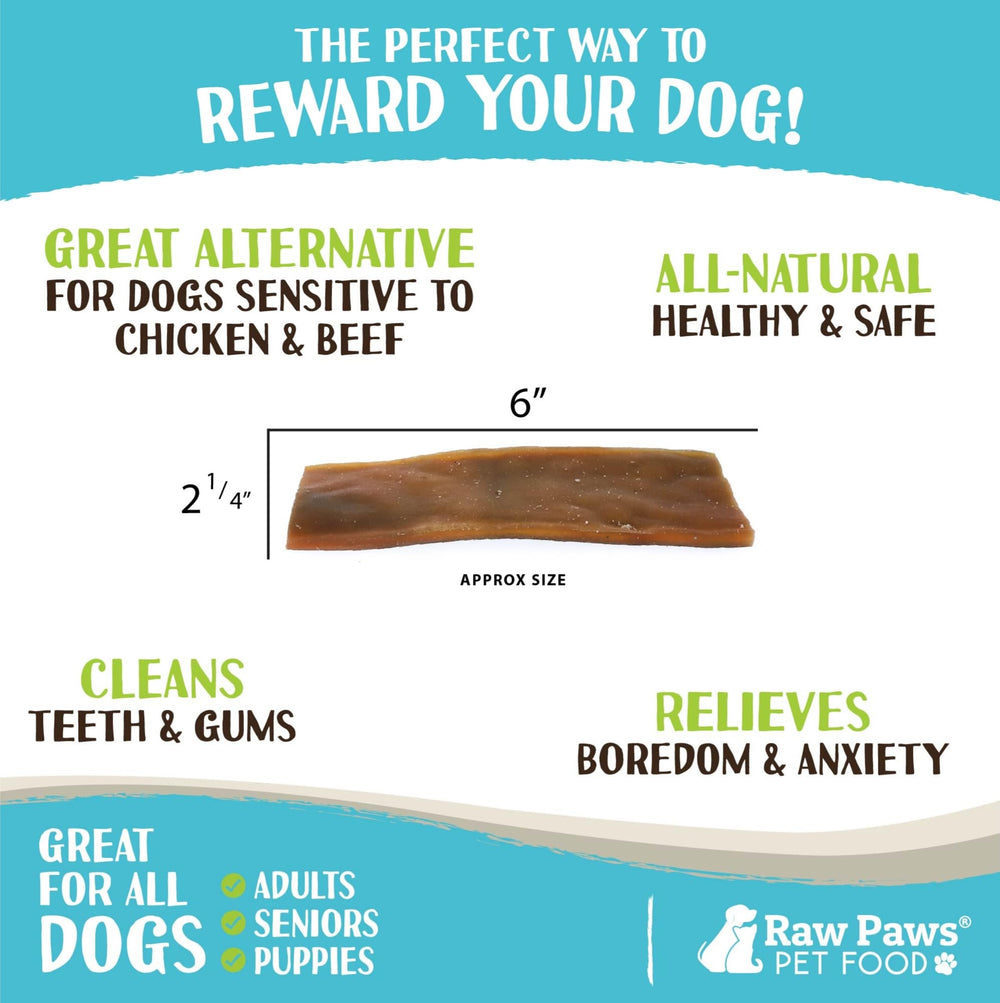 Raw Paws Camel Skin Chews, perro calmándose durante la sesión de masticación.