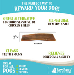Raw Paws Camel Skin Chews, perro calmándose durante la sesión de masticación.