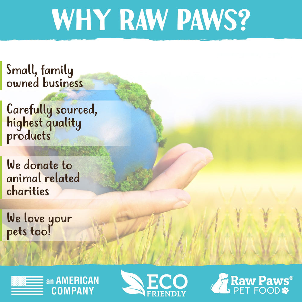 Raw Paws Polvo de Alga Kelp con aroma neutro listo para mezclar.