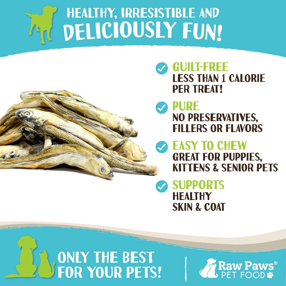 Snack de entrenamiento Raw Paws para perros, fácil de llevar.