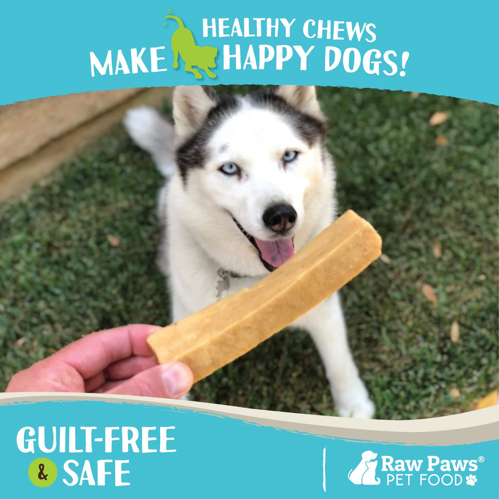 Raw Paws Yak Chews textura dura, ideal para masticadores persistentes.