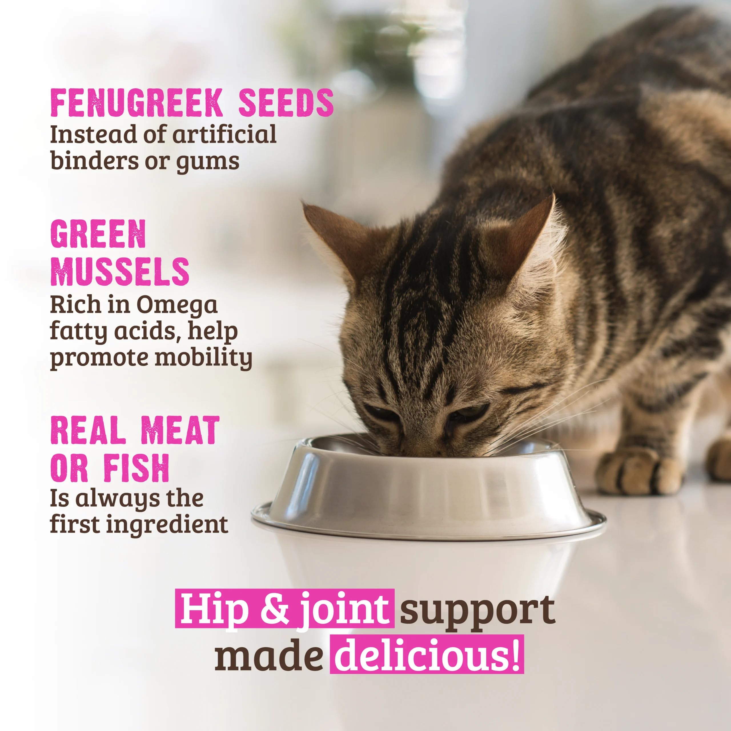 Rawz EPA y DHA para movilidad felina: nutrición orientada al movimiento.
