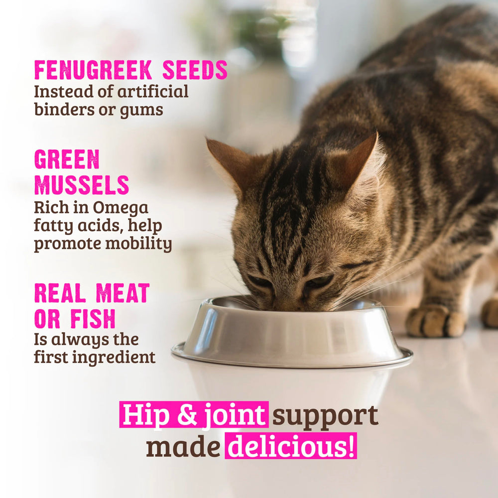 Rawz EPA y DHA para movilidad felina: nutrición orientada al movimiento.