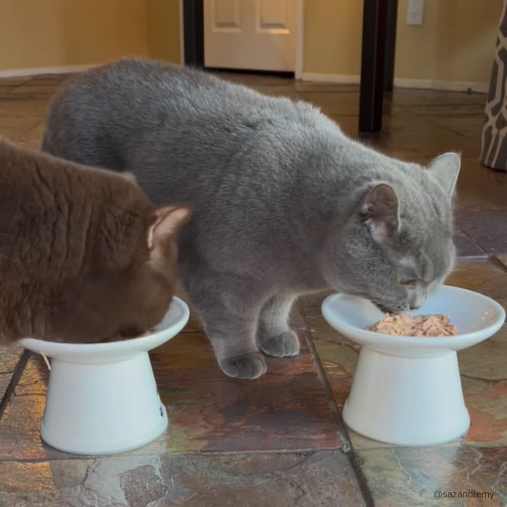 Rawz nutricion-completa: alimento húmedo nutricionalmente completo para gatos.