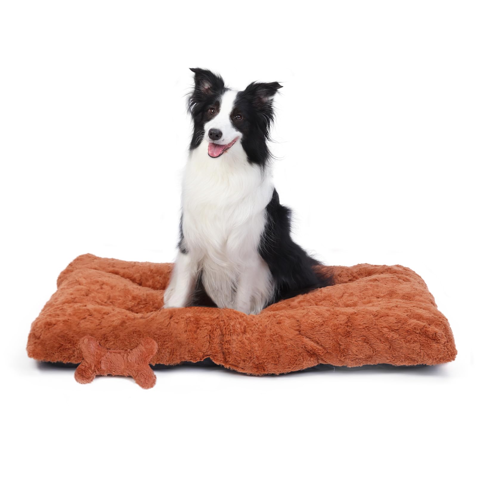 Razyzil cama para jaula de perro, base estable