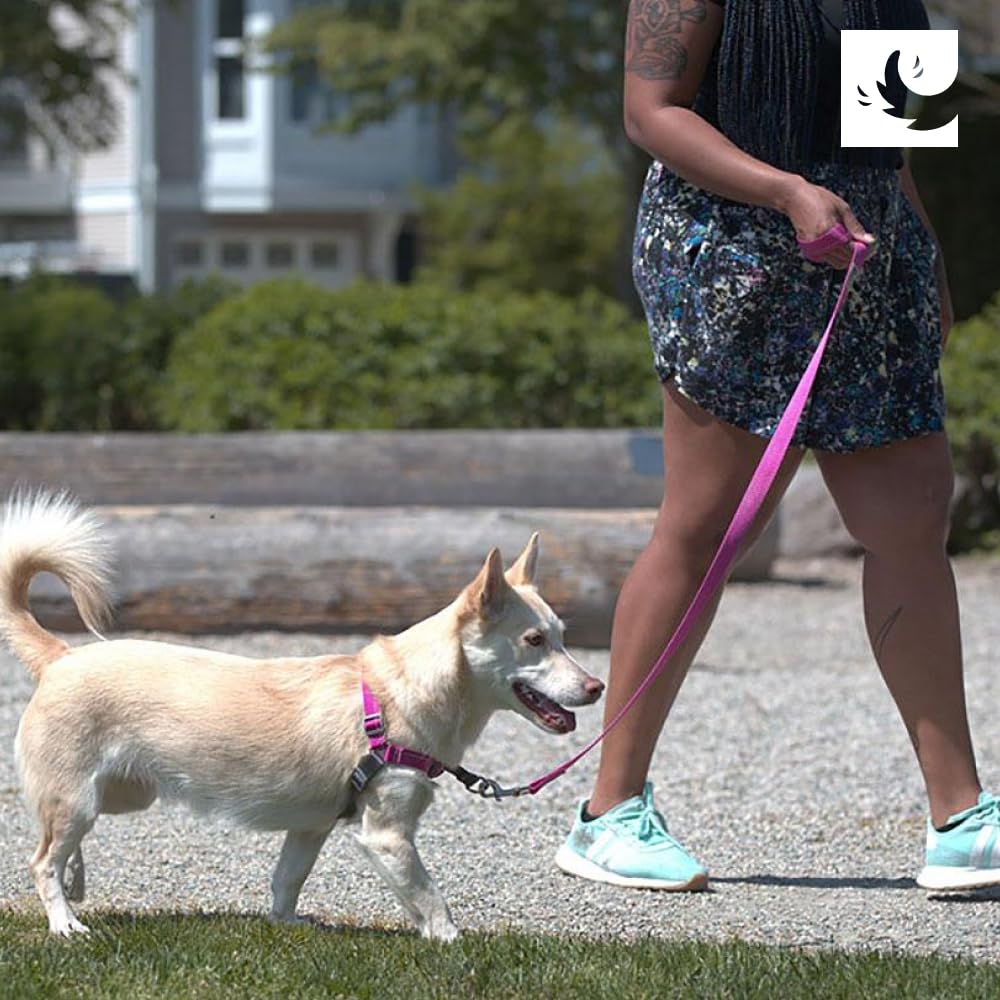 RC PETS Pace arnés negro para paseos diarios con estilo