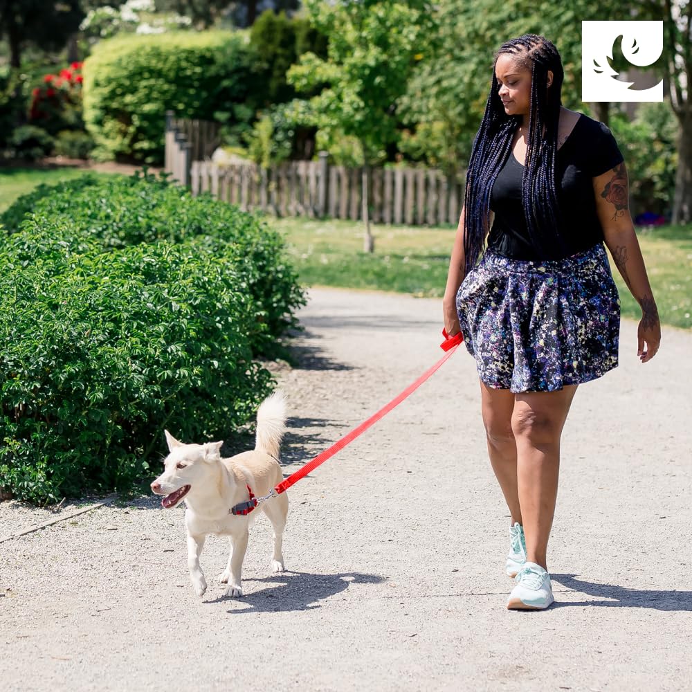 RC PETS Pace ideal para paseos diarios y entrenamiento suave