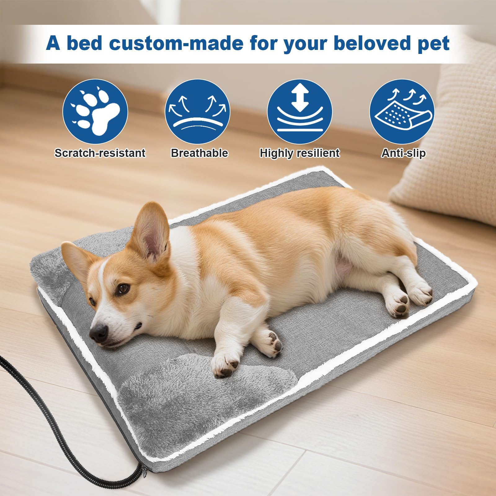 RC SLL cable-resistente-a-mordidas: seguridad para mascotas curiosas.
