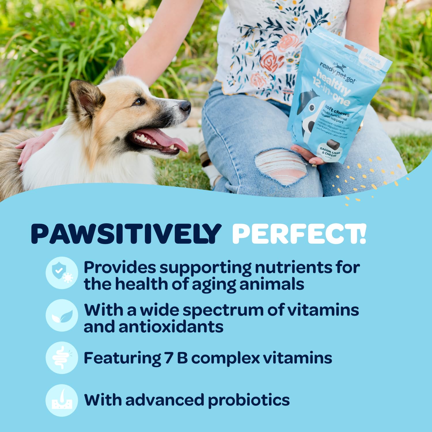 Ready Pet Go, masticables para perros de cualquier tamaño, práctica dosis diaria