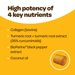 Ingredientes premium Ready Pet Go cúrcuma y colágeno para perros.