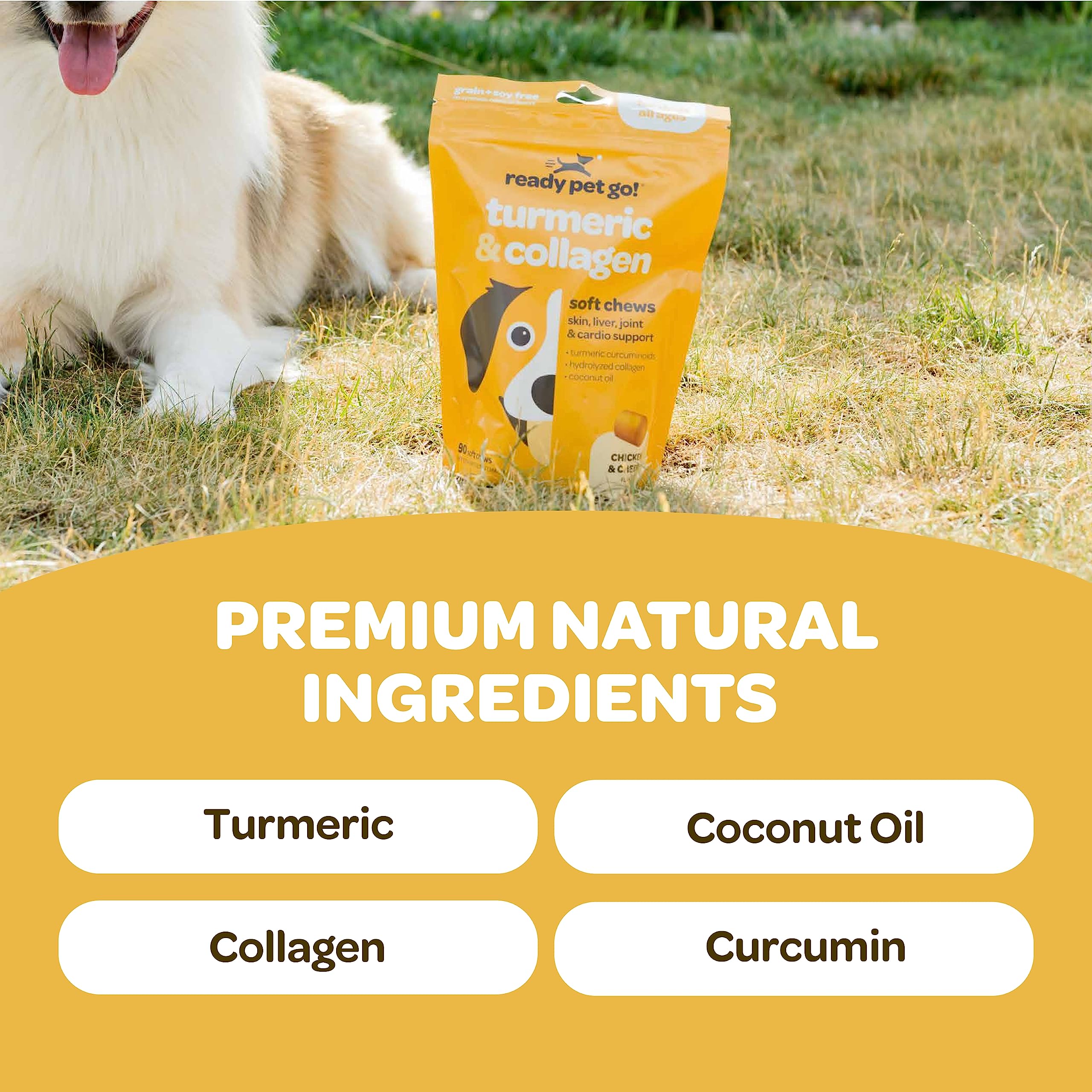 Ready Pet Go, cúrcuma con colágeno, favorece la movilidad diaria.