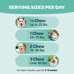 Ready Pet Go! Probióticos para perros, apoyo digestivo e inmunitario.