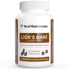 Real Mushrooms suplemento de melena de león para perros y gatos, apoyo diario al bienestar