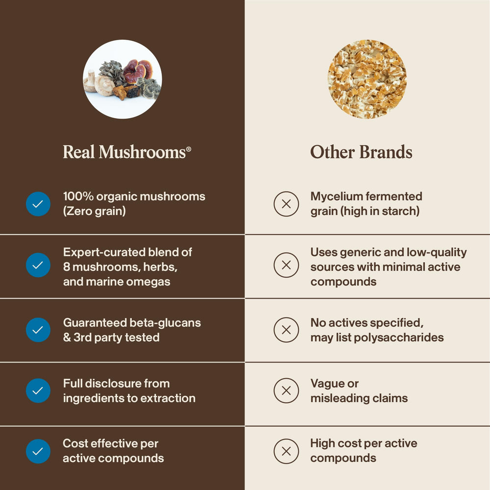 Real Mushrooms Maitake Perro Polvo: suplemento para una rutina equilibrada