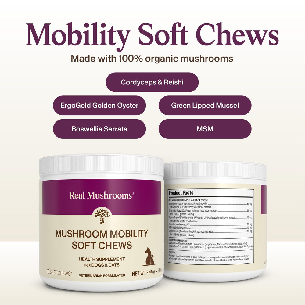 Real Mushrooms MSM y Boswellia, fórmula para comodidad de movimiento.