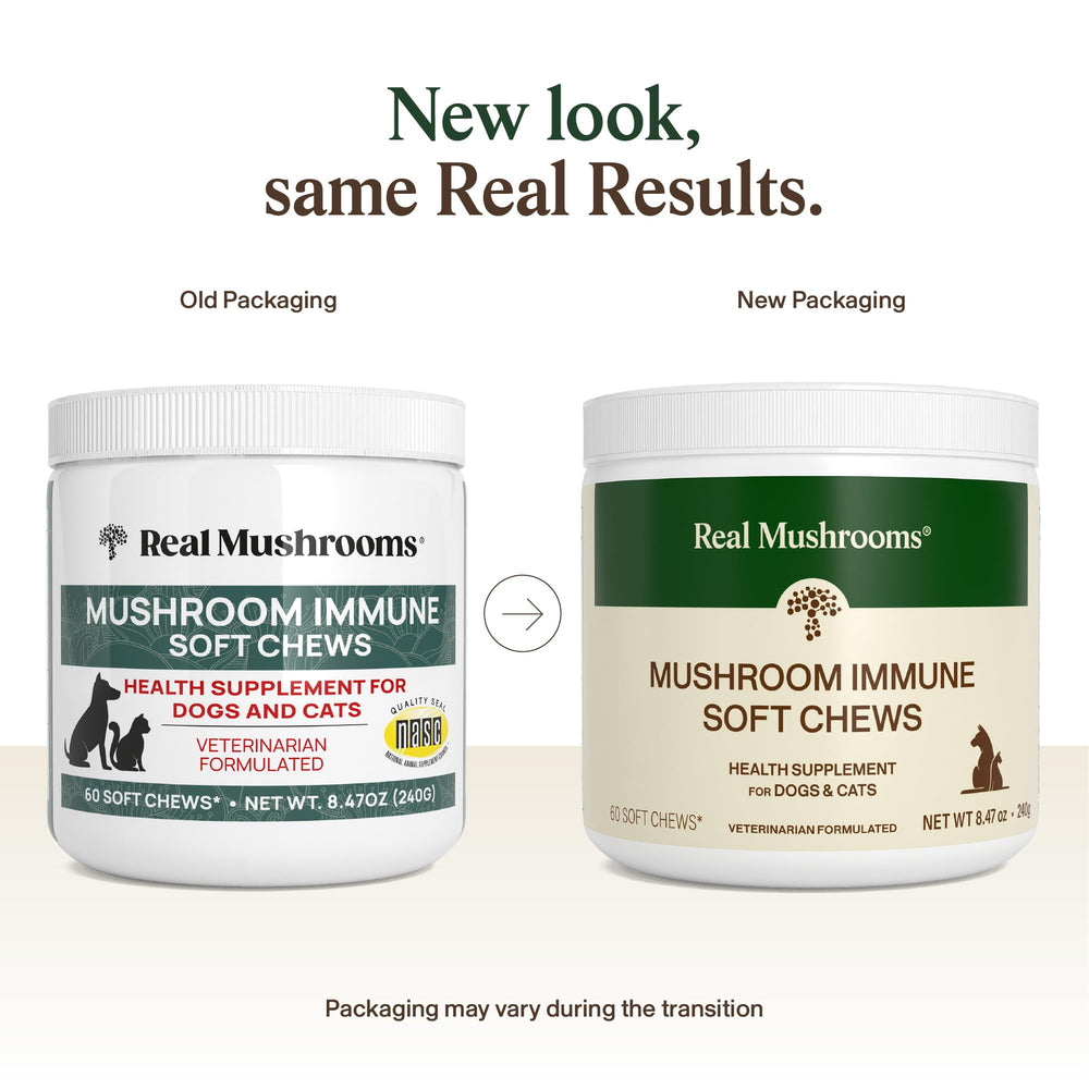 Real Mushrooms: premios masticables para perros y gatos, sabor agradable