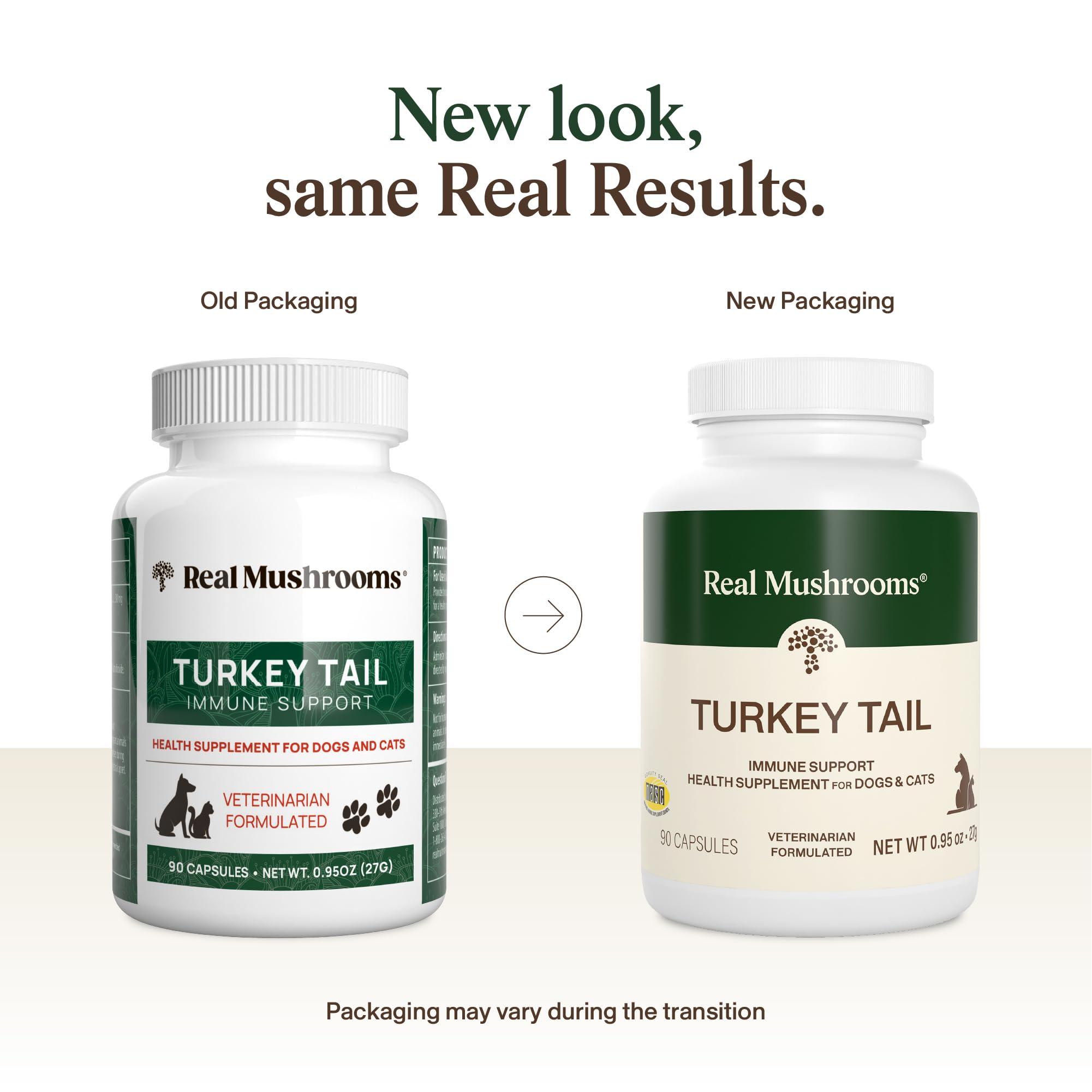 Real Mushrooms Turkey Tail para mascotas, bote en escritorio, entrega diaria fácil