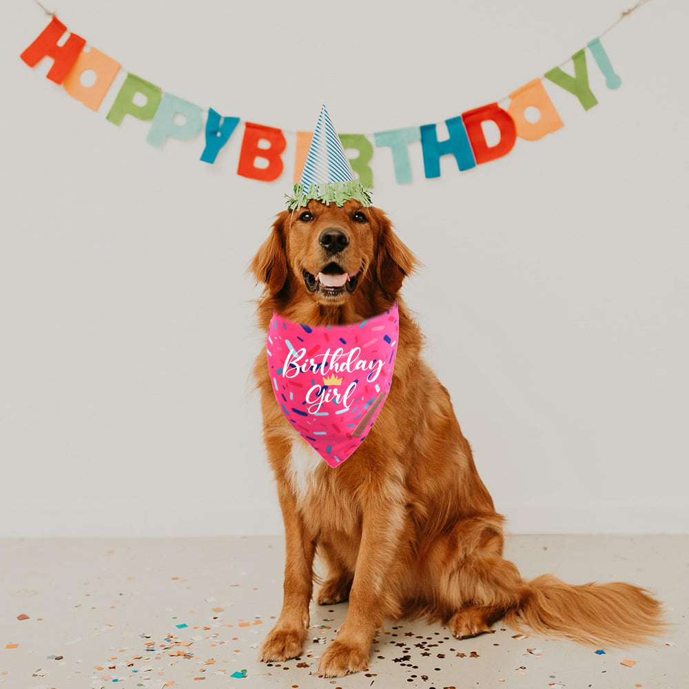 Bandana Realeaf con empaque incluido, ideal para regalo en fiestas caninas