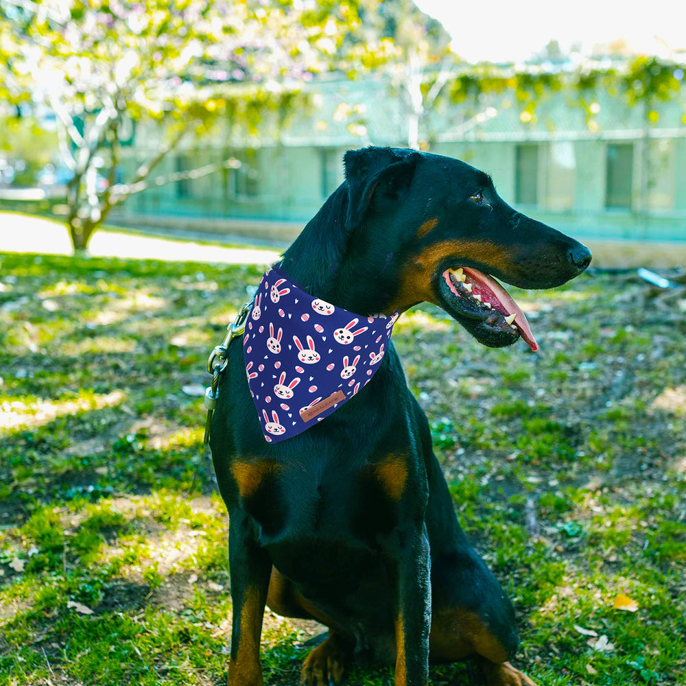 Bandana Realeaf Pascua para perro, doble cara reversible, opción de estilo diferente.