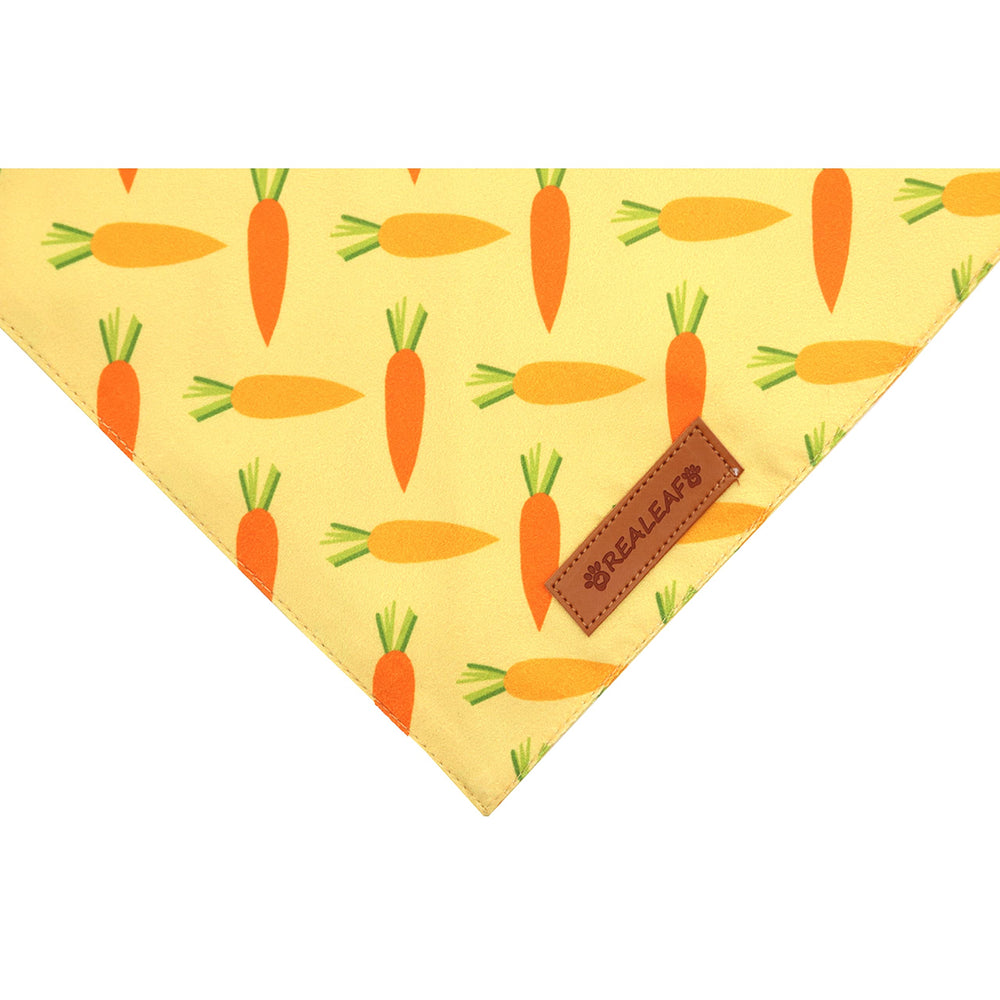 Accesorio de Pascua para perro, ideal para fotos y celebraciones.