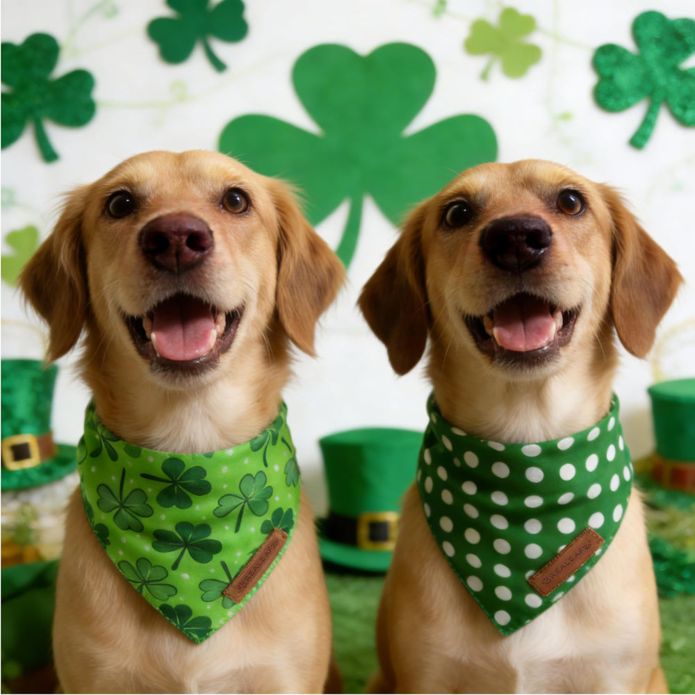 Estilo festivo para perros en eventos, con diseño verde de Realeaf
