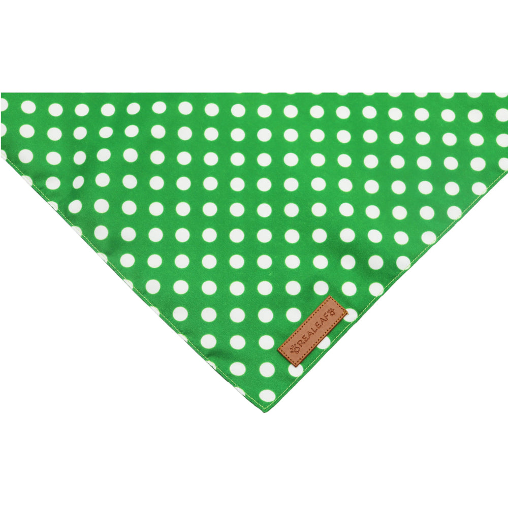 Ideal para sesiones de fotos con estilo en verde.