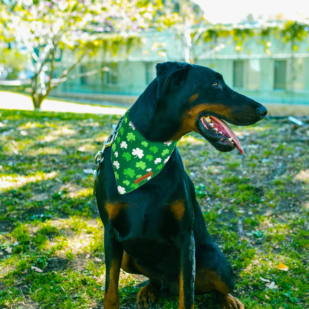 Realeaf bandana Saint-Patrick pour photos festives, facile à enfiler et nettoyer.